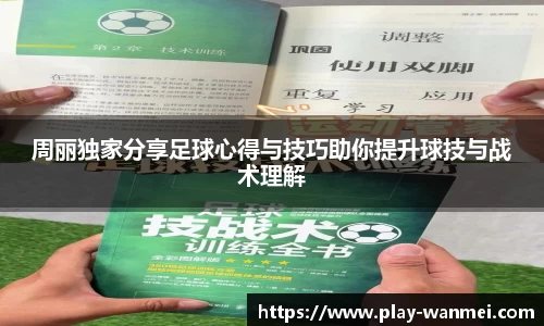 完美世界平台